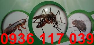 Phun thuốc diệt muỗi hiệu quả tại nhà ở quận 1